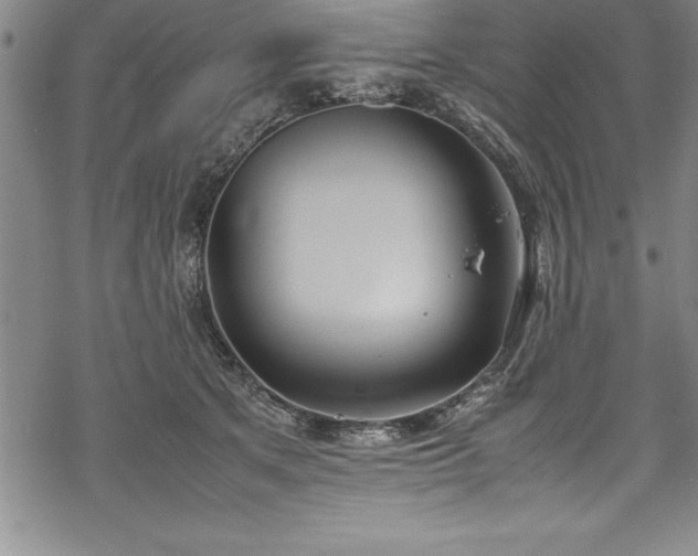 X0000069390513200605150946