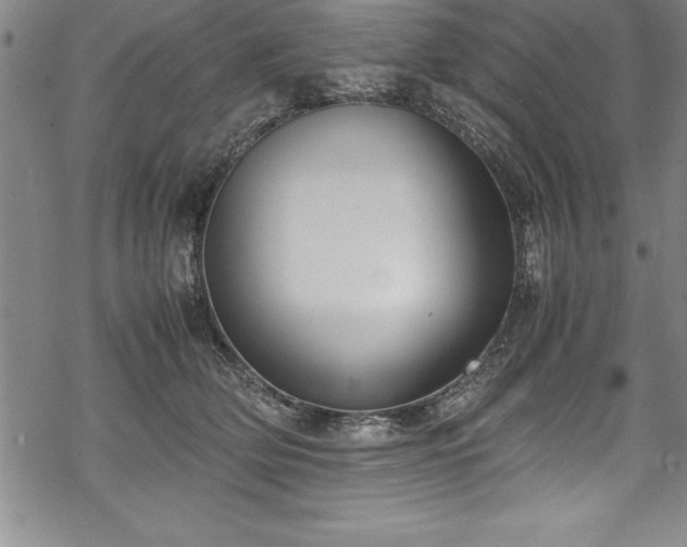 X0000069390514200605150946