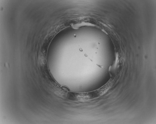 X0000069390515200605150946