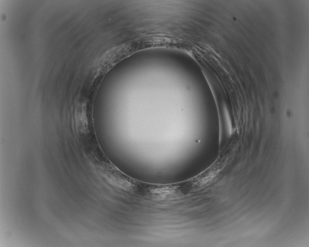 X0000069390516200605150946