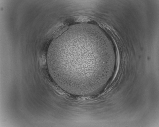 X0000069390517200605150946