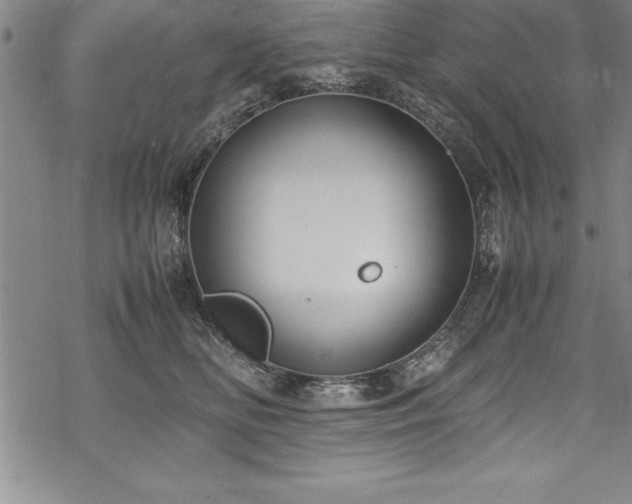 X0000069390518200605150946