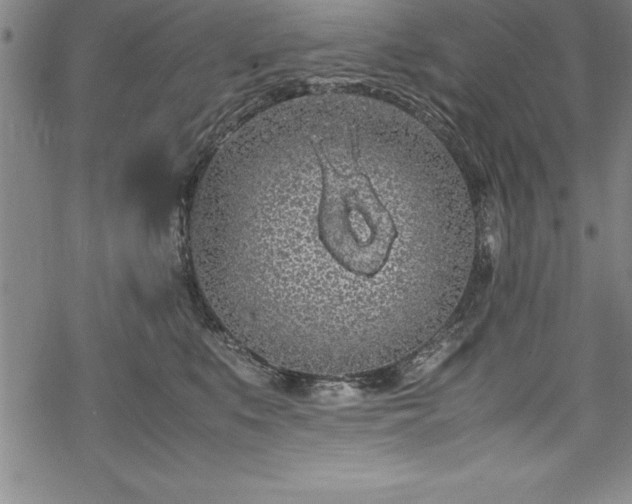 X0000069390519200605150946