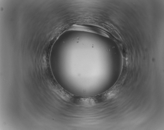 X0000069390520200605150946