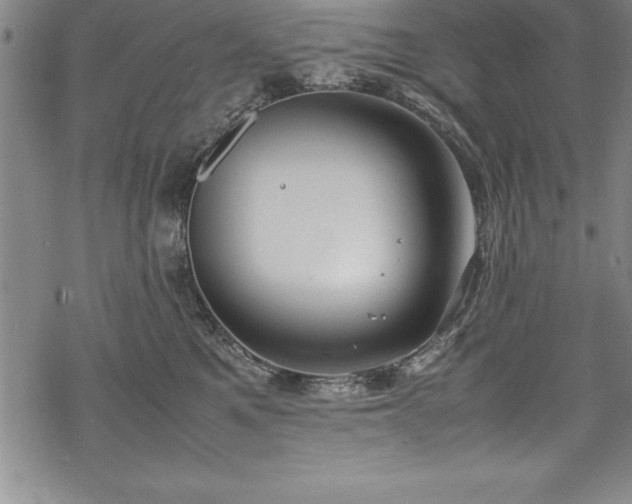 X0000069390521200605150946