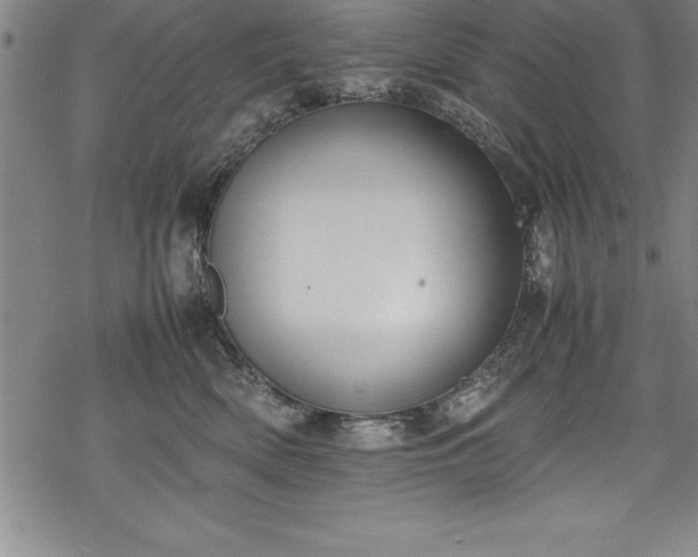 X0000069390522200605150946