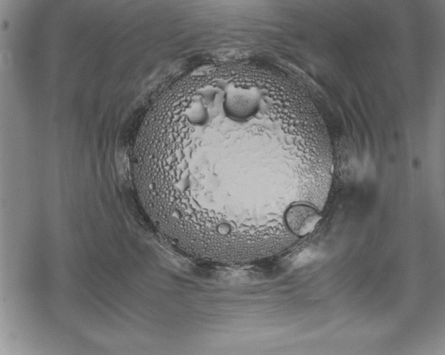 X0000069390523200605150946