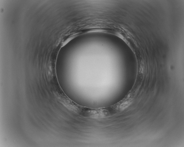 X0000069390524200605150946