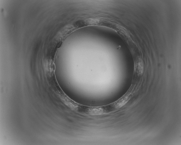 X0000069390525200605150946