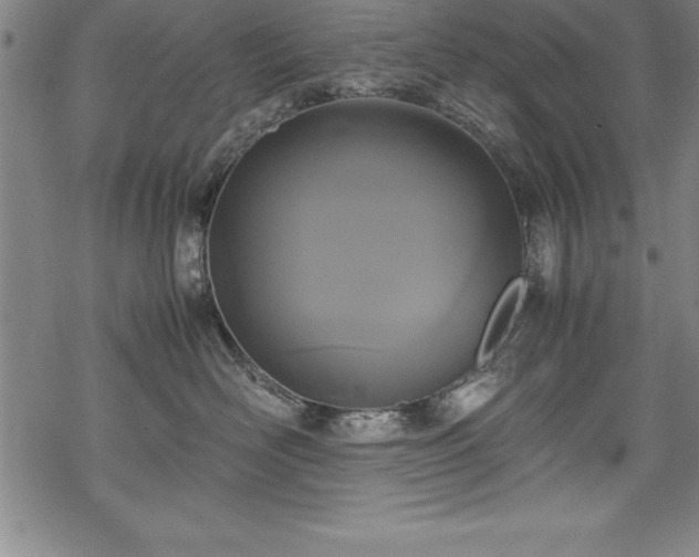 X0000069390526200605150946