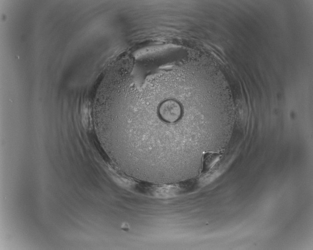 X0000069390527200605150946