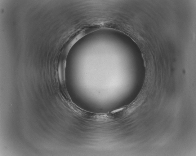 X0000069390528200605150946