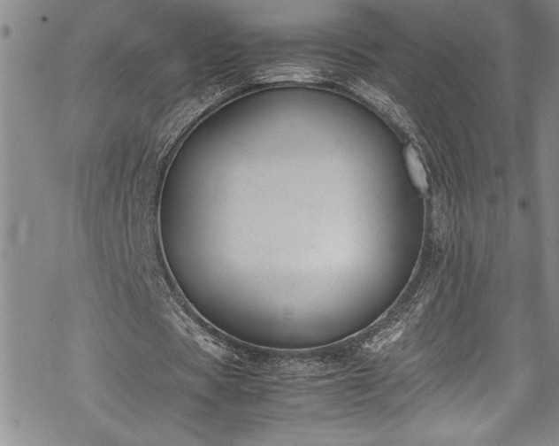 X0000069390529200605150945