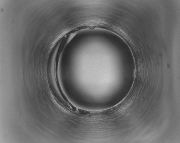 X0000069390530200605150945