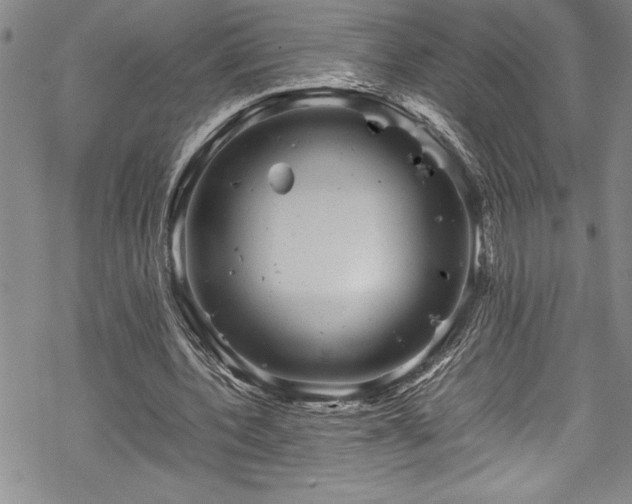 X0000069390532200605150945