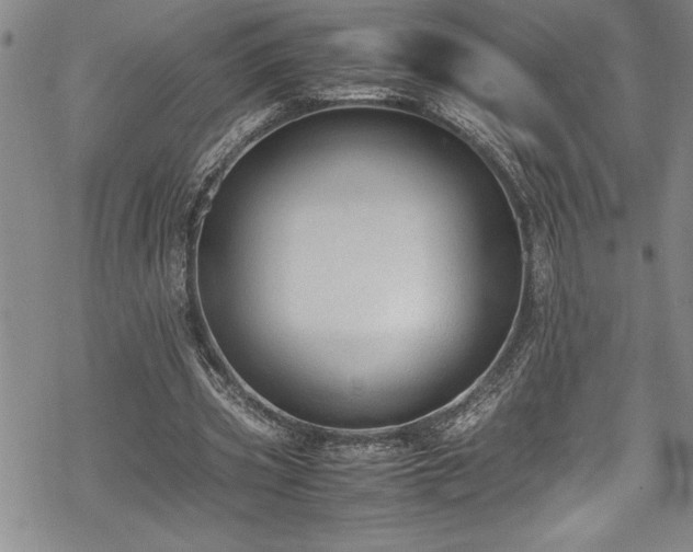 X0000069390533200605150945