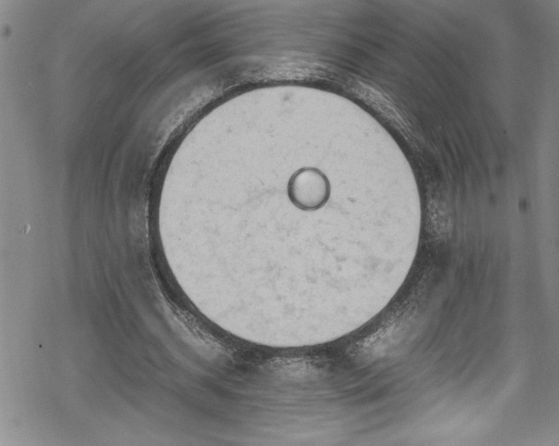 X0000069390534200605150945