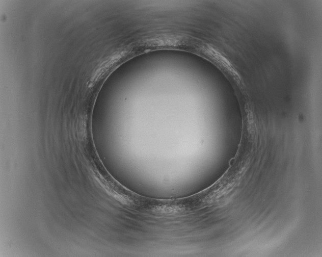 X0000069390537200605150945