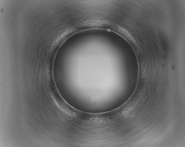 X0000069390538200605150946