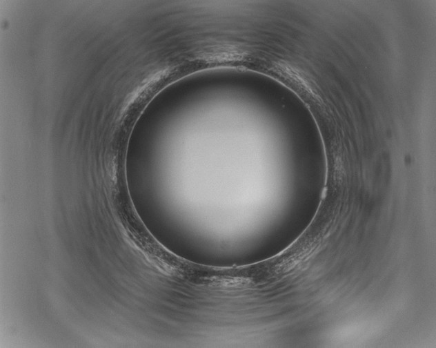 X0000069390539200605150946