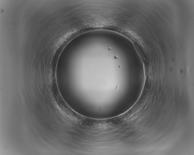 X0000069390540200605150946