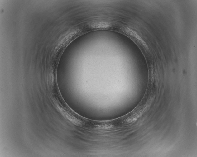 X0000069390541200605150946