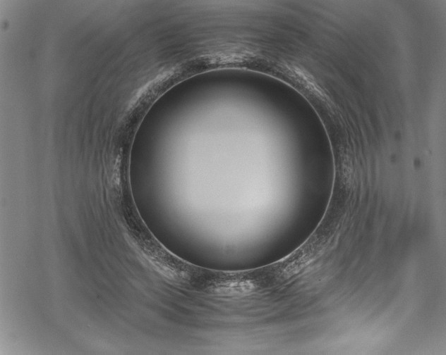 X0000069390543200605150946