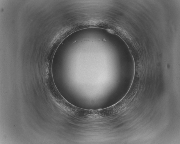 X0000069390544200605150946