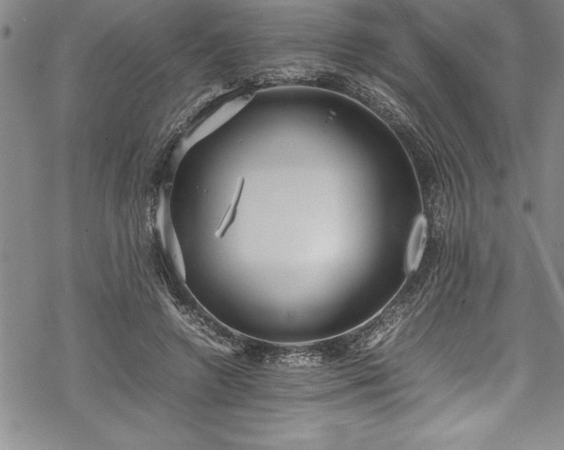 X0000069390546200605150946