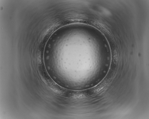 X0000069390547200605150946