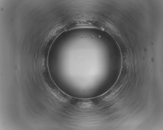 X0000069390548200605150946