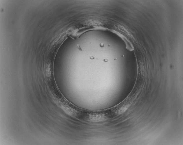 X0000069390549200605150946