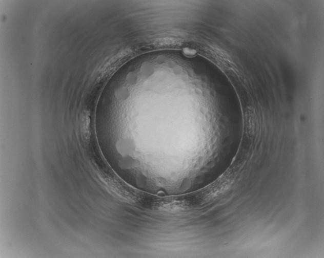 X0000069390550200605150946