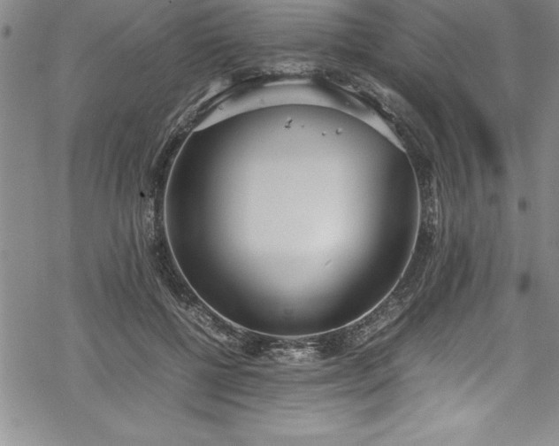 X0000069390552200605150946