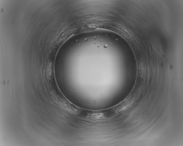 X0000069390554200605150946