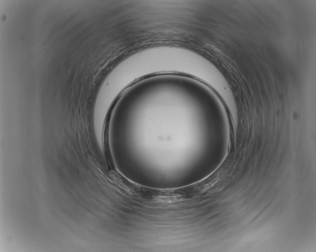 X0000069390556200605150946