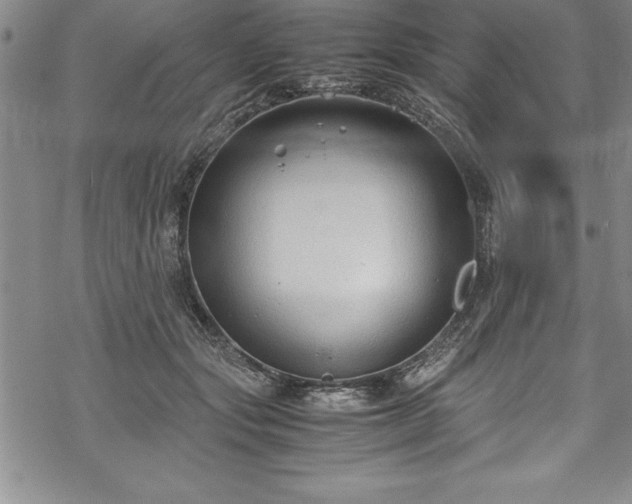 X0000069390557200605150946