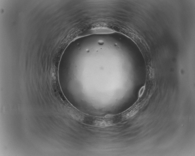 X0000069390561200605150946