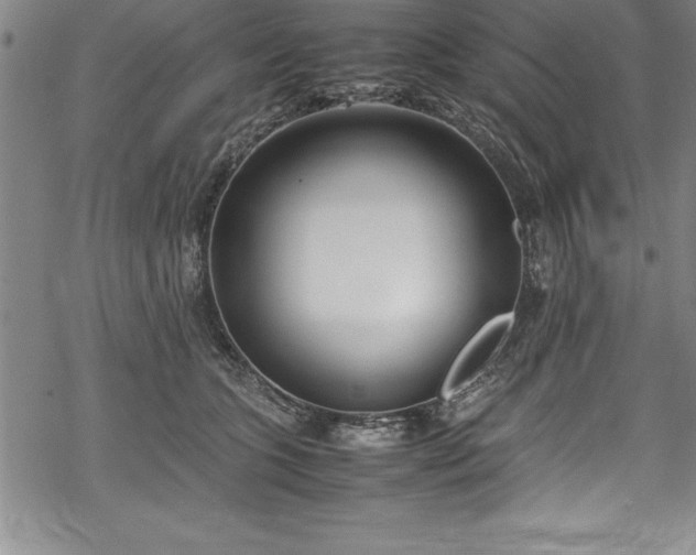 X0000069390563200605150946