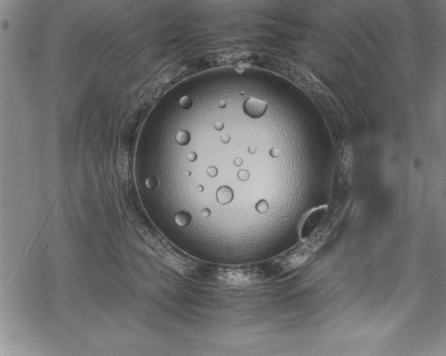 X0000069390565200605150946