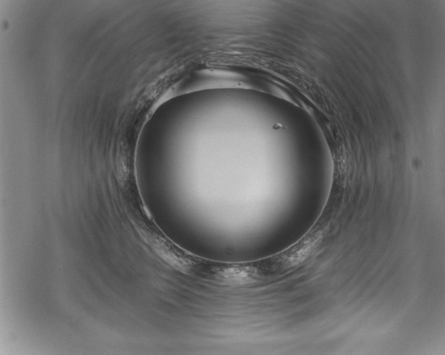 X0000069390566200605150946