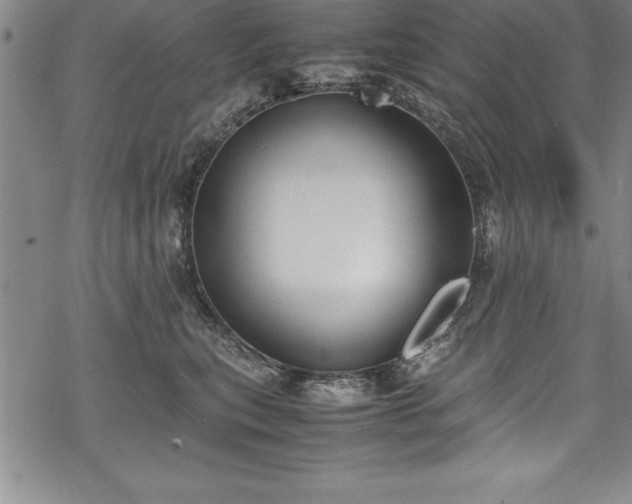 X0000069390567200605150946