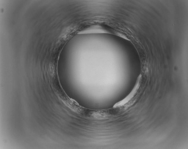 X0000069390568200605150946