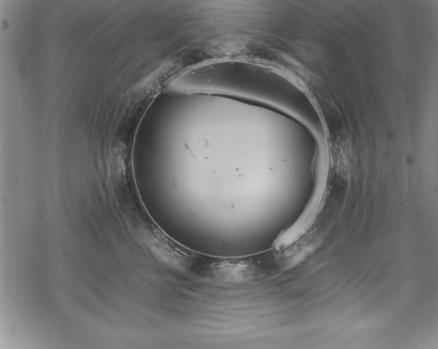 X0000069390570200605150946