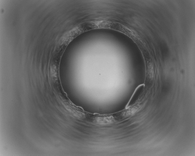 X0000069390571200605150946