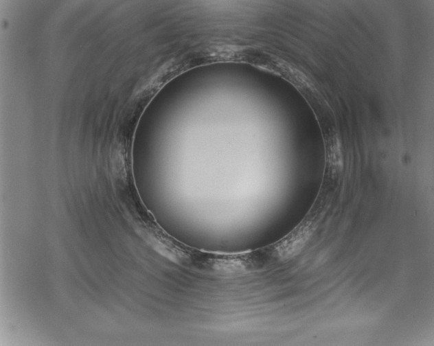 X0000069390572200605150946