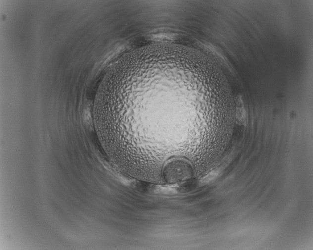 X0000069390573200605150946