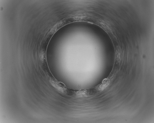 X0000069390574200605150946