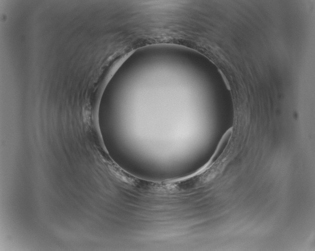 X0000069390576200605150946