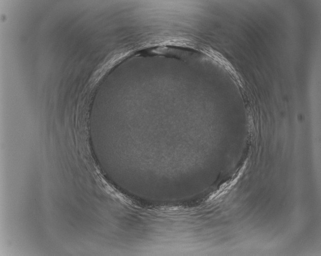 X0000069390577200605150945